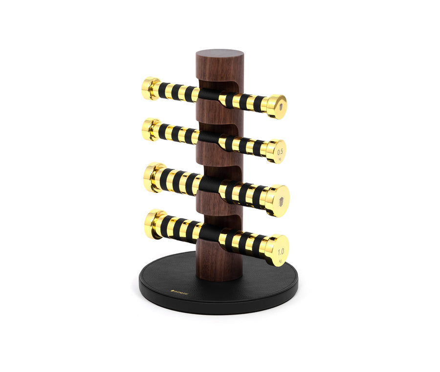 Kit of 4 Dumbbells with stand