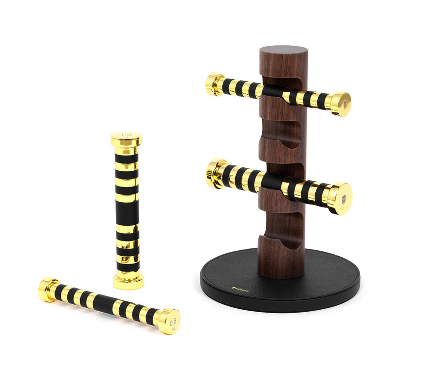 Kit of 4 Dumbbells with stand